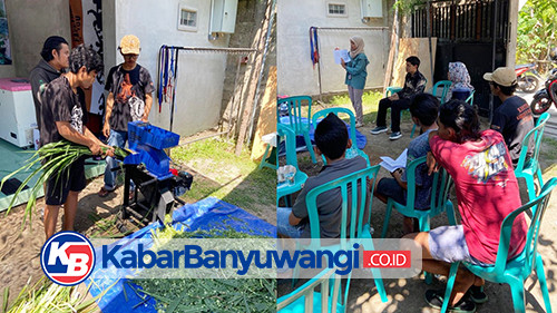 PKM Poliwangi Bantu Peternak Banyuwangi Kuasai Pakan Modern hingga Digital Marketing