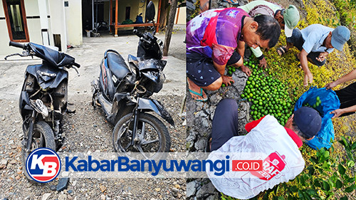 Dua Terduga Pelaku Pencuri Jeruk di Banyuwangi Diamuk Massa, Satu Tewas