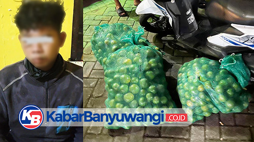Maling Jeruk Apes Dipergoki Warga Gambiran Banyuwangi, Pelaku Diamuk Massa