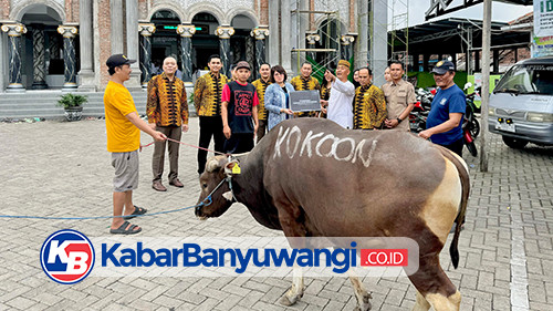 Kokoon Hotel Banyuwangi Berkurban Seekor Sapi, Karyawan Turut Sumbangkan Kambing