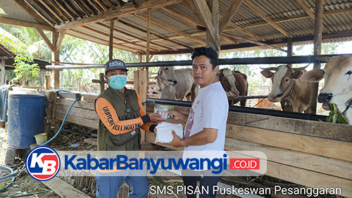 https://kabarbanyuwangi.co.id/asset/foto_berita/sms_pisan.jpg