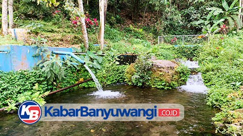 https://kabarbanyuwangi.co.id/asset/foto_berita/sumber_kajar.jpg