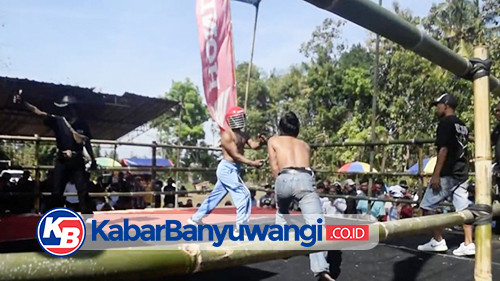 Melihat Tradisi Tiban, Cara Warga Banyuwangi Meminta Hujan Rela Saling Cambuk