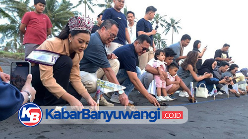 Ketapang Indah Hotel Gandeng Puteri Indonesia 2025 Lepasliarkan 100 Tukik di Pesisir Banyuwangi