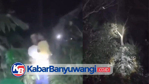 Saat Tiga Bocah di Srono Banyuwangi Diduga Digondol